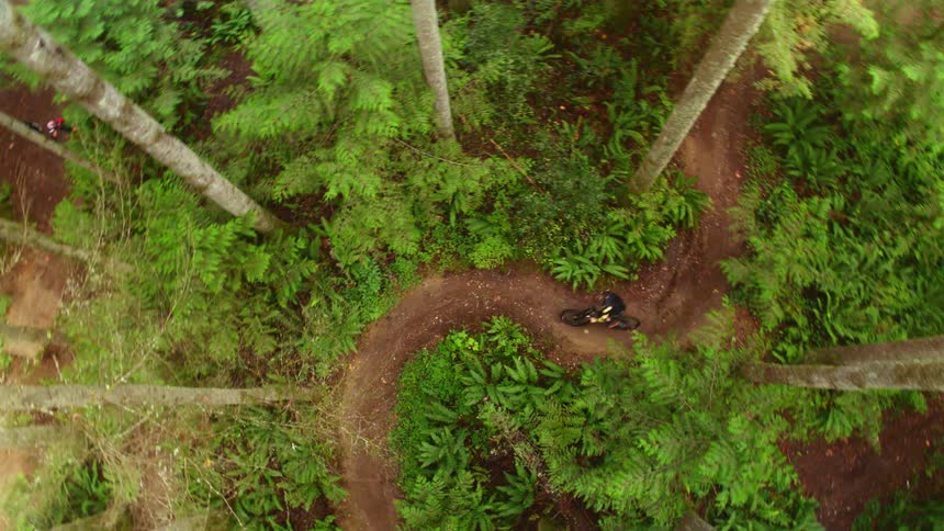 Cyclist rides a bike on the winding forest track during daylight