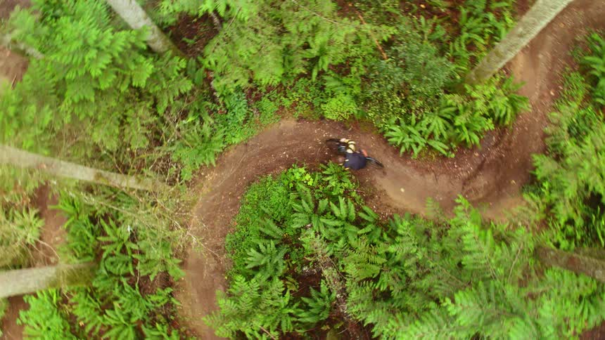 A person on a bicycle rides quickly down a twisted trail in a forested area