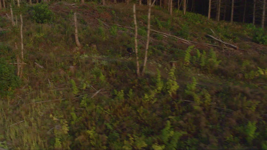 A person rides a bike through a tree filled terrain