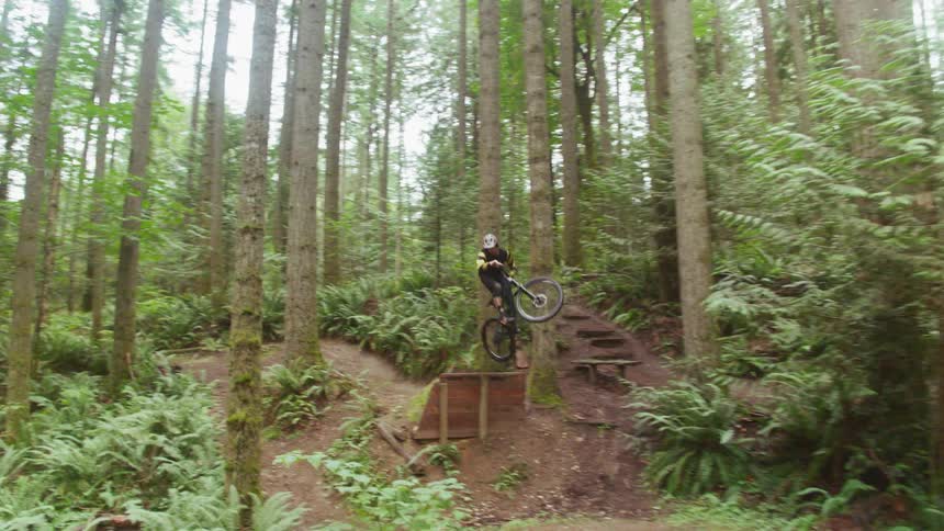 Bicyclist rides dirt bike trail in forest