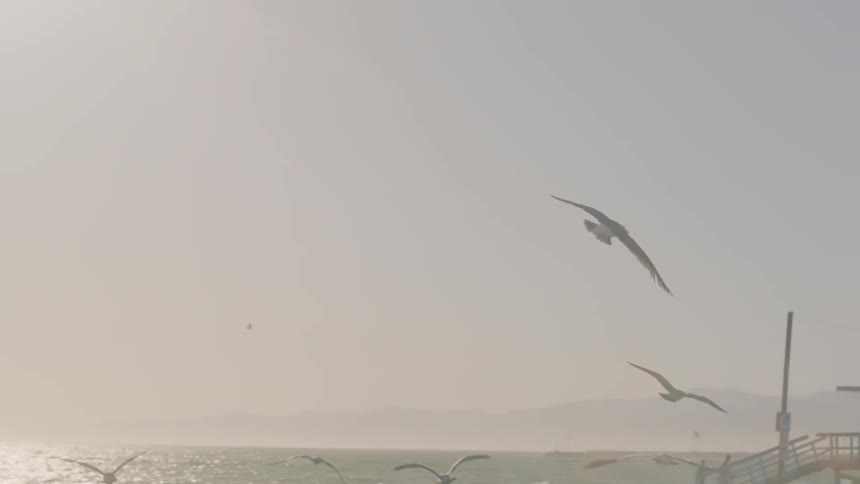 A flock of seagulls fly over the beach sand near a lifeguard shack