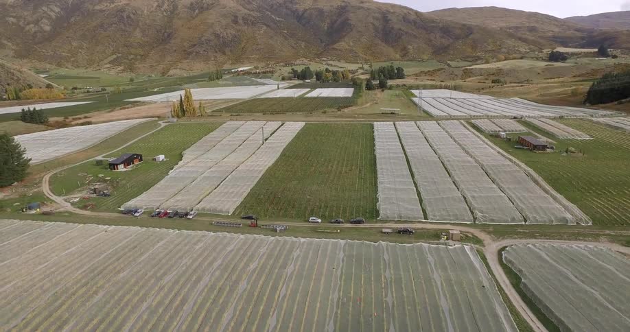 An aerial view of a vineyard
