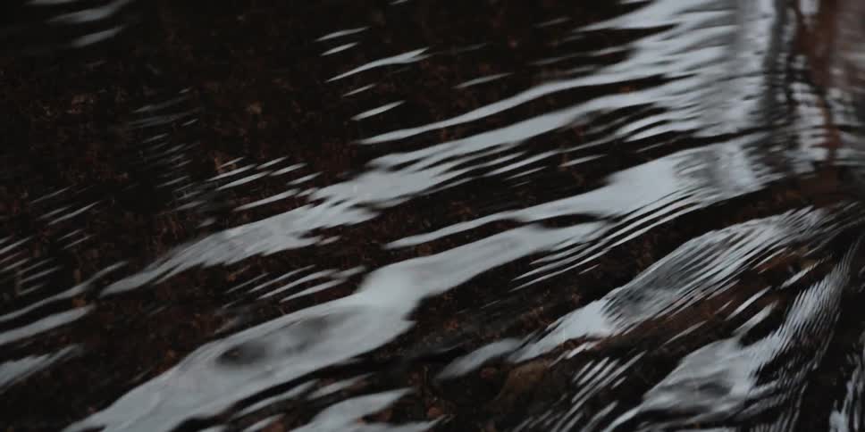 An outdoor stream of water