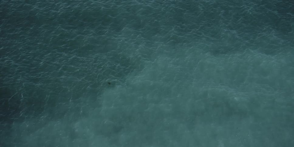 Waves shimmer in a clear blue ocean