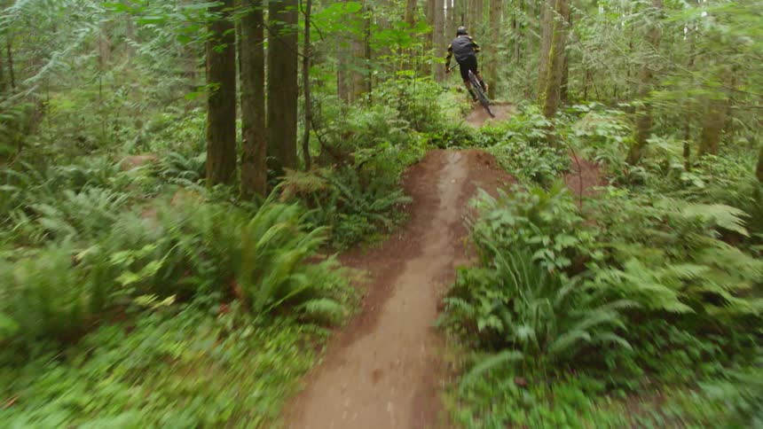 A person rides a bicycle and jumps a ramp in the woods