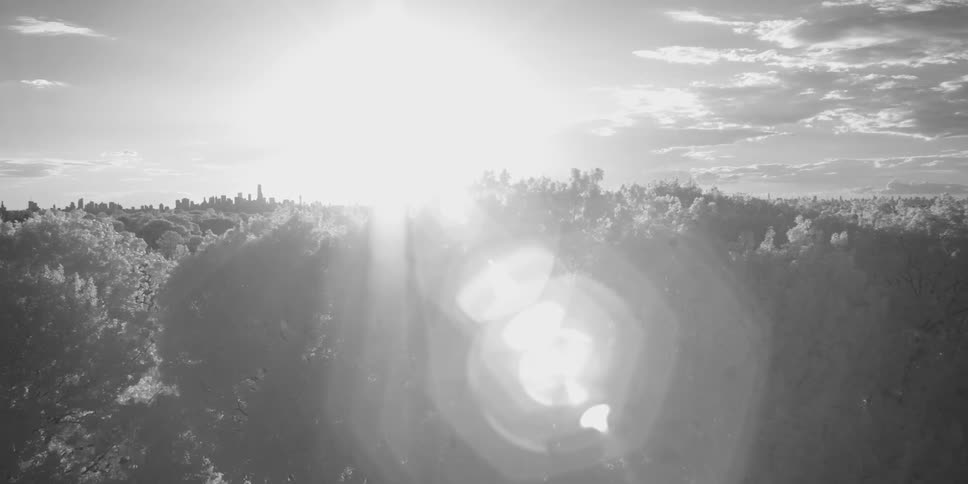 View of the sun glaring over trees under a partially cloudy sky