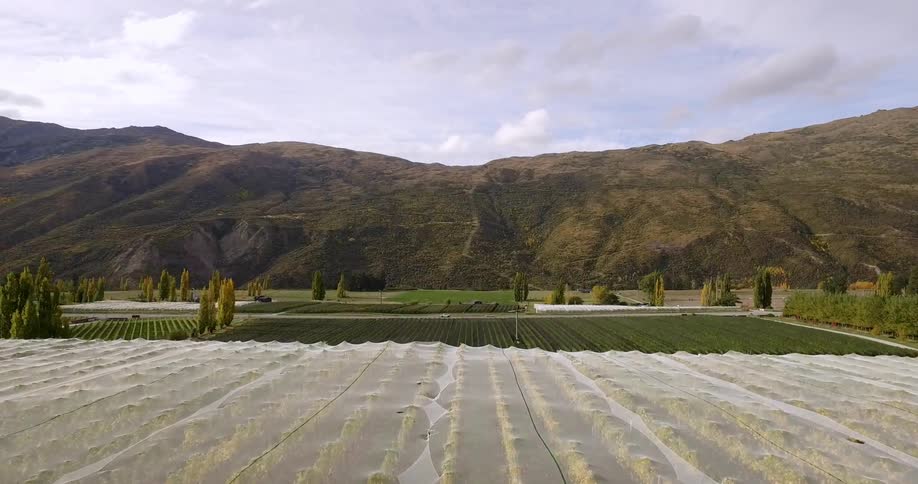 Wide view of farmland