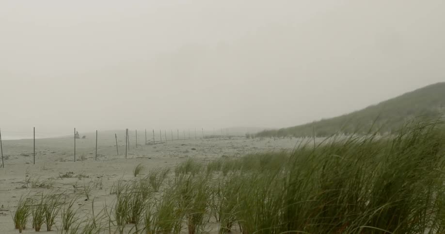 A windy grass land