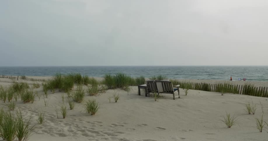 A bench sits facing the ocean on a sandy beach sparsey covered in grass tufts
