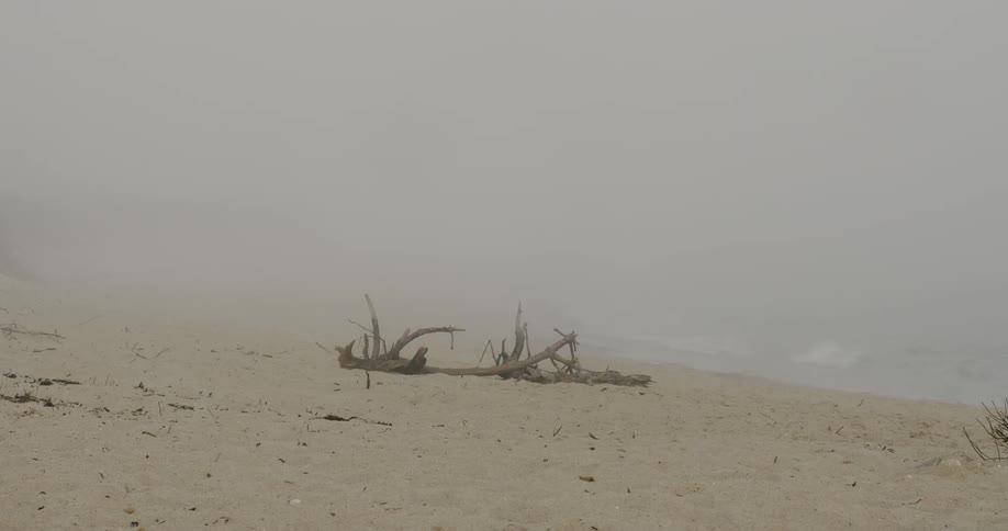 An eerie scenery of beach