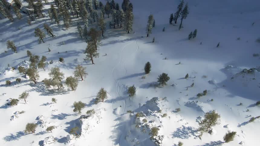 A person skis down a tree filled snow covered cliff