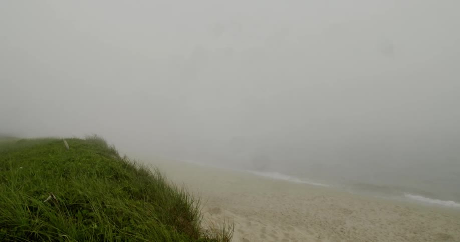 A foggy beach scenery