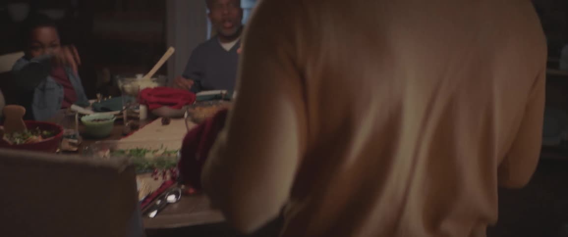 Preparing family dinner party