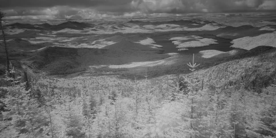 Snow covered pine trees and mountains seen in an aerial, black and white view