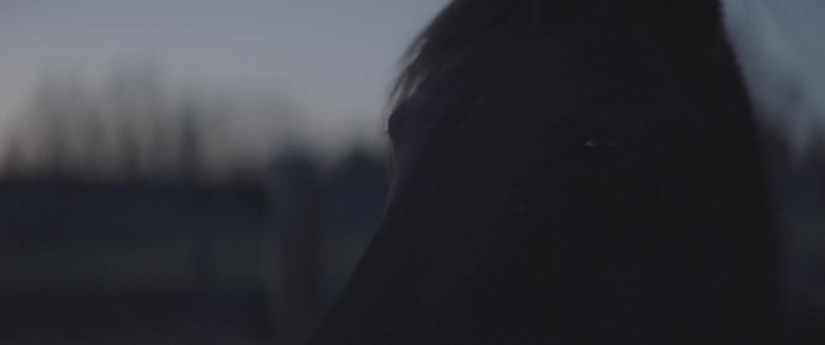 Woman back in the dark night