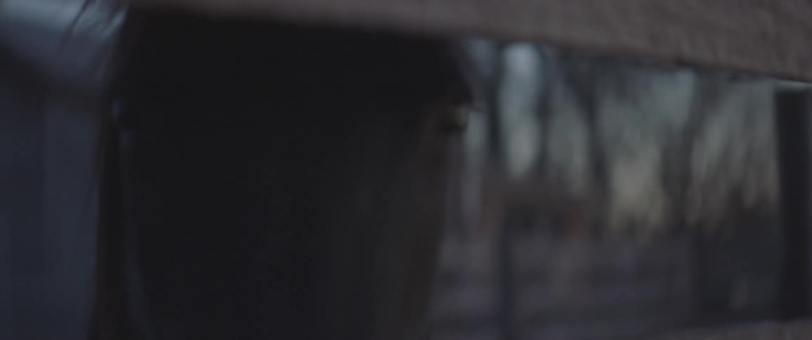 A horse stands and looks through a fence