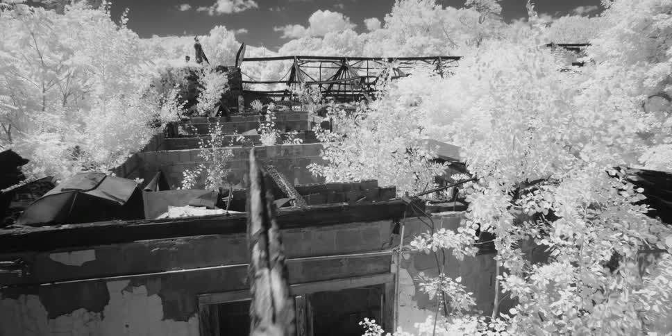 Destroyed buildings taken over by trees are shown in infrared/black and white as the camera pans over them