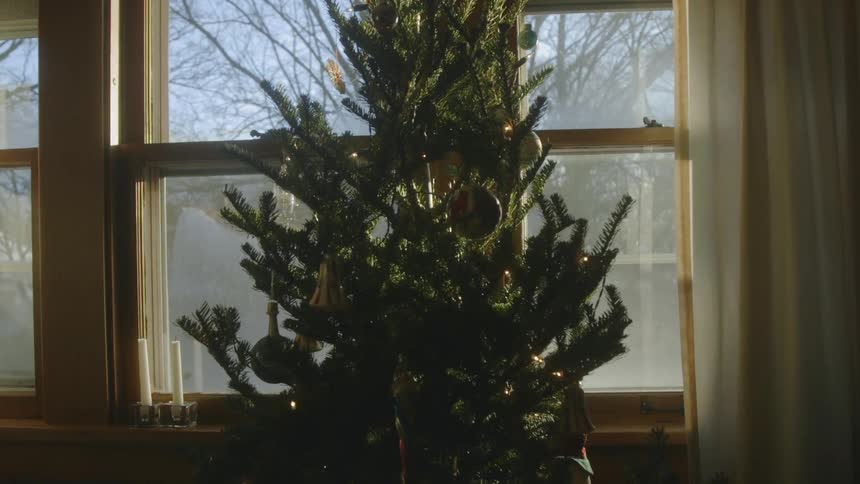A christmas tree is inside a house