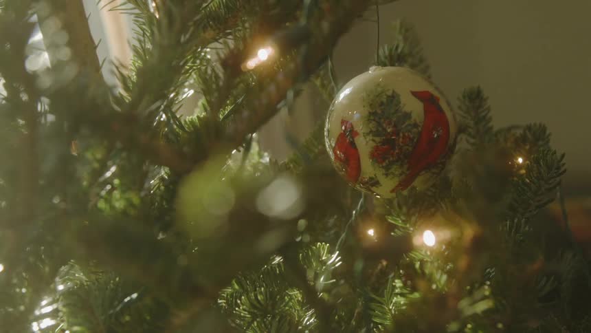 A close up view of a christmas decoration