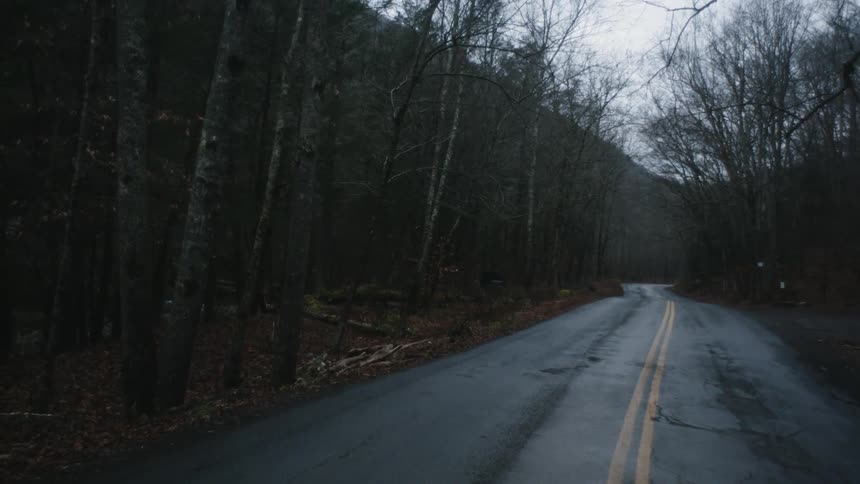 Trees run along the side of a narrow two lane road