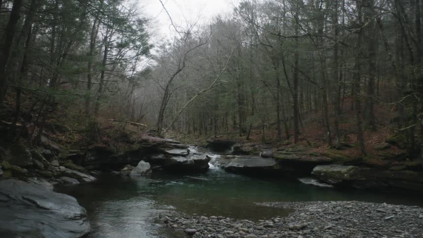 A stream flows down the woods in winter