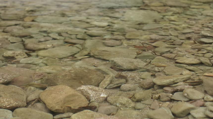 Rocks sitting at the bottom of the water
