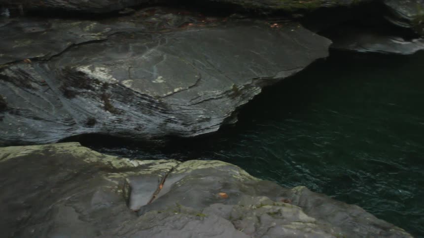 A river flowing in the woods