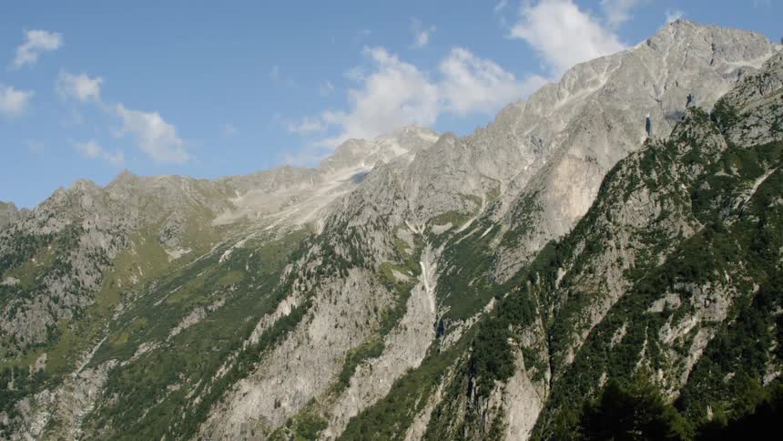 Trees grow on a steep mountain face that has snow at the peak