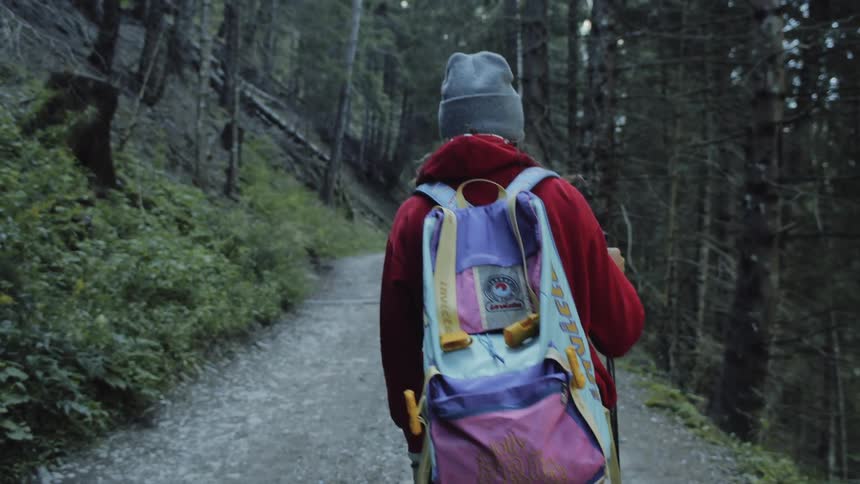 A person is hiking up a trail in the forest