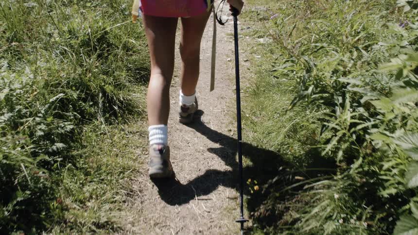 The legs of a hiker in shorts walking a narrow trail and using a pole on a sunny day