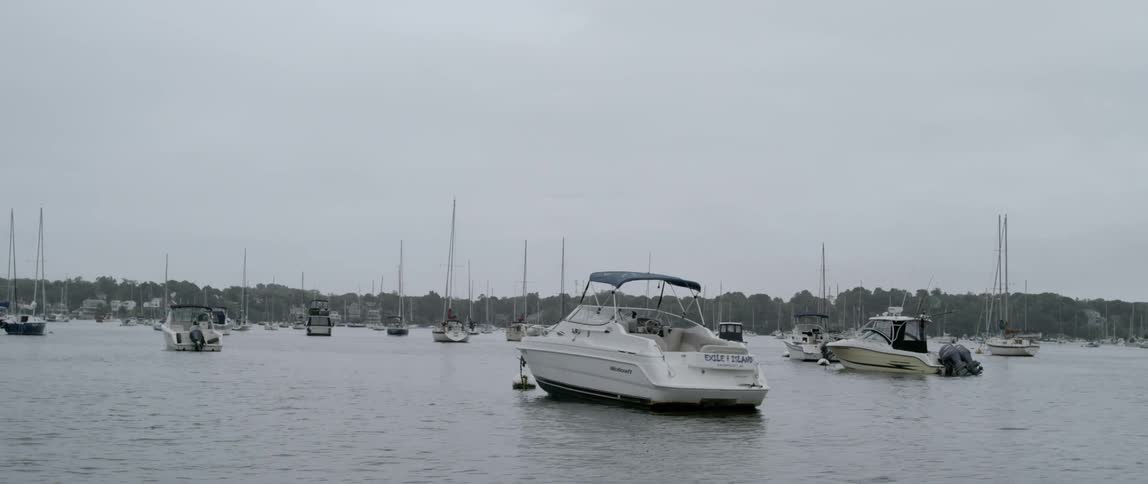 Speed boats are anchored in the water far from the shore