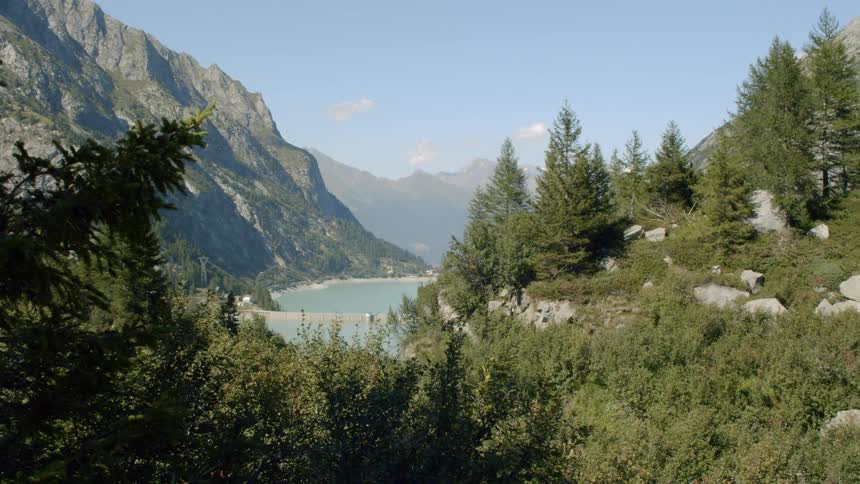 A view of a lake from the fir forest