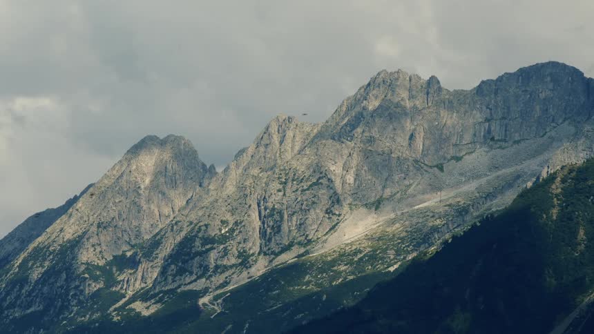 Birds flying over a mountain range