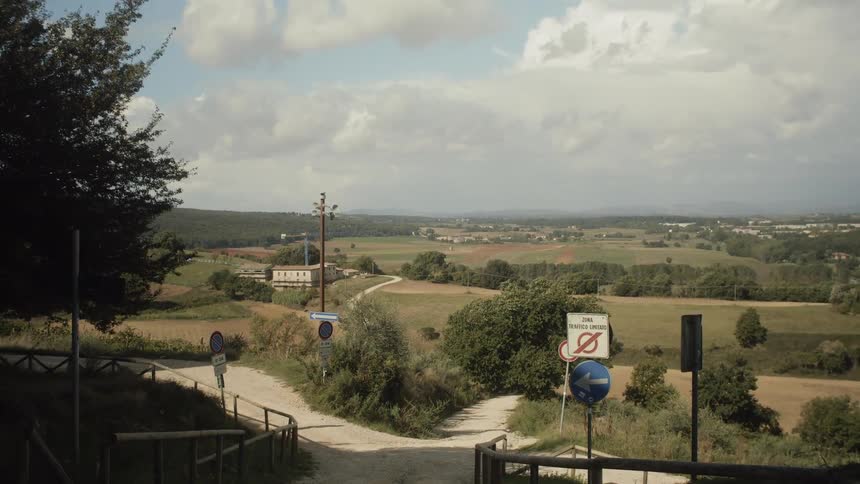 Fields on outskirts of town bordered by the forest
