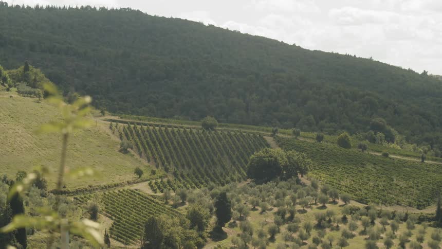 Green hills border valley with fields and orchards