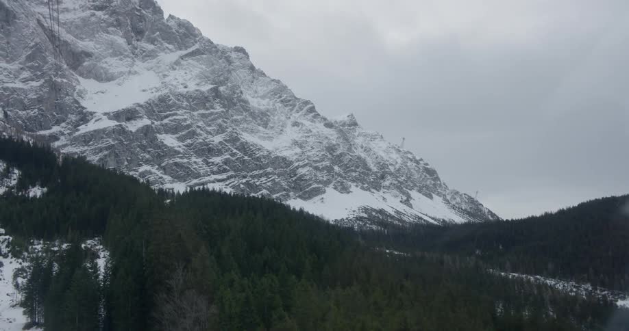 The tall trees line the hills before the mountain