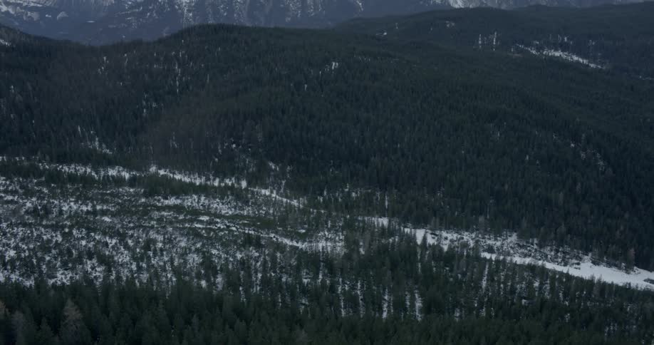 Aerial view of a forest with snow and the mountains