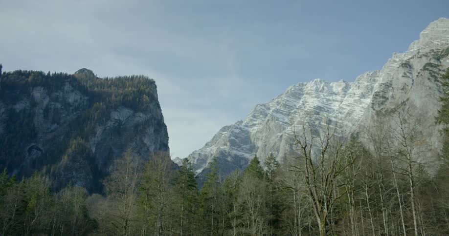 Landscape view of a forest and mountains