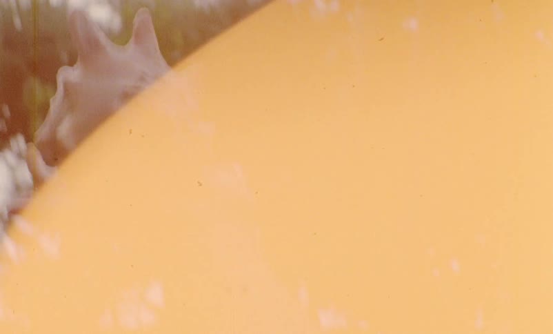 Footage of a person holding a shell