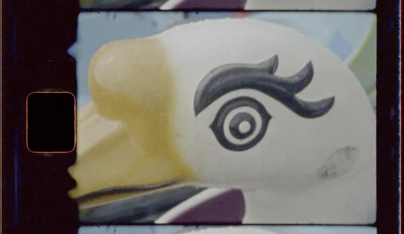 A zoomed view of an eye from a duck figure
