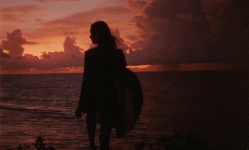 A woman standing on the coast at sunset as the wind blows through her garments