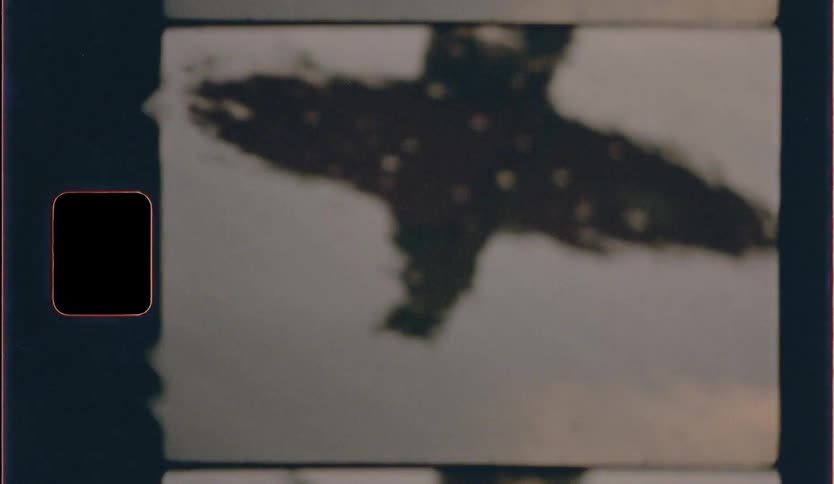 A reflection of people with surfboard at the beach