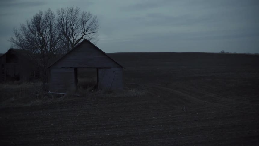 A dilapidated shack in front of a barren tree in a dirt field