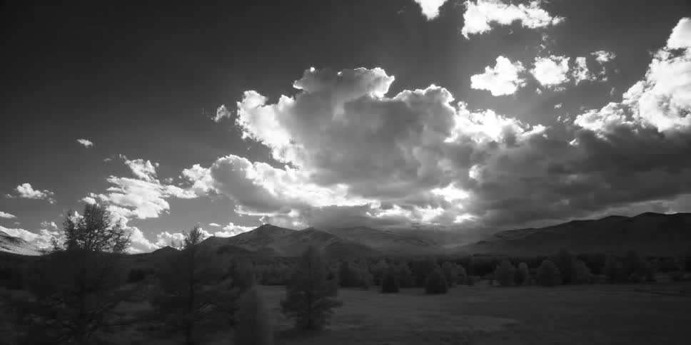 A large field has trees on it and mountains in the distance