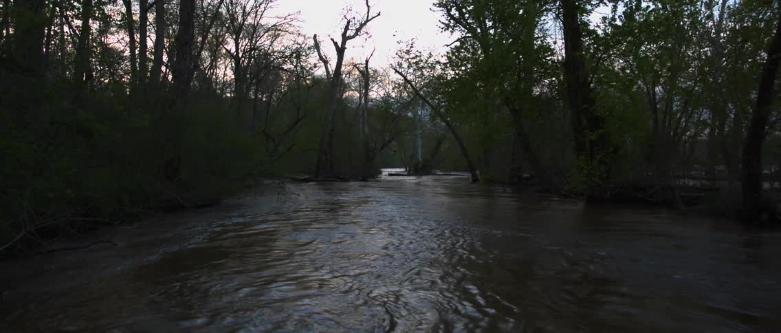 A river runs through a dark forest on a cloudy day