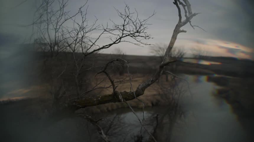 Dead tree branches and a riverbed in soft focus