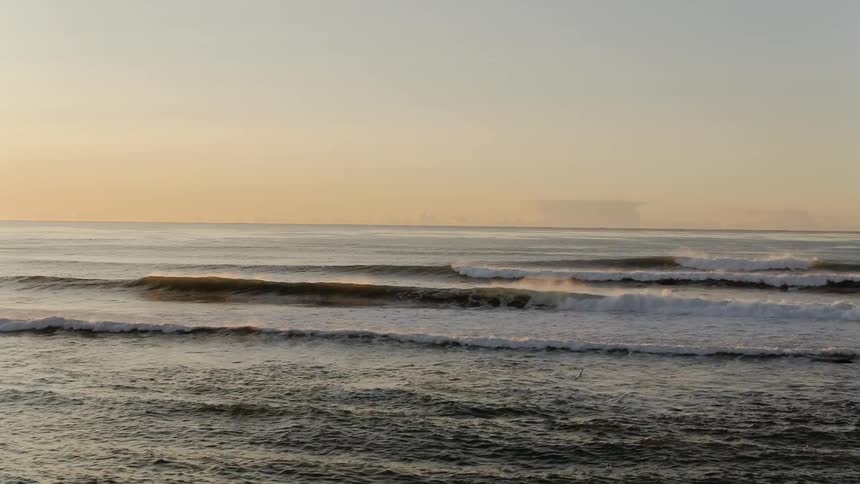 Birds fly above ocean waves along the shore