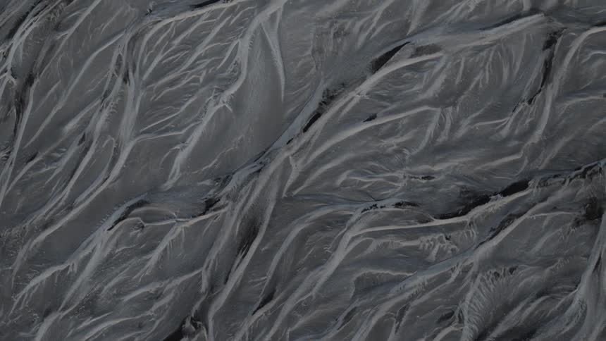 Veins are visible in a gray substrate
