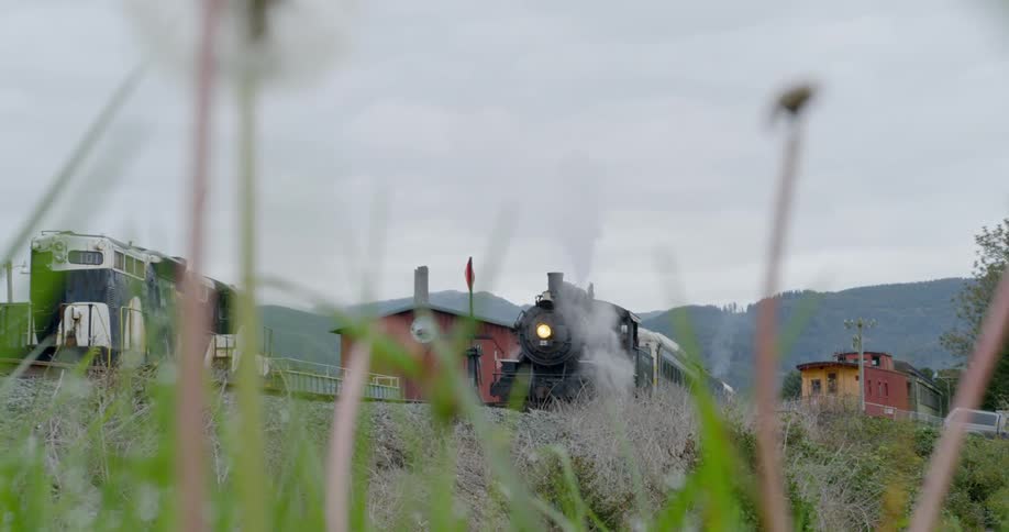 A train sits at the station