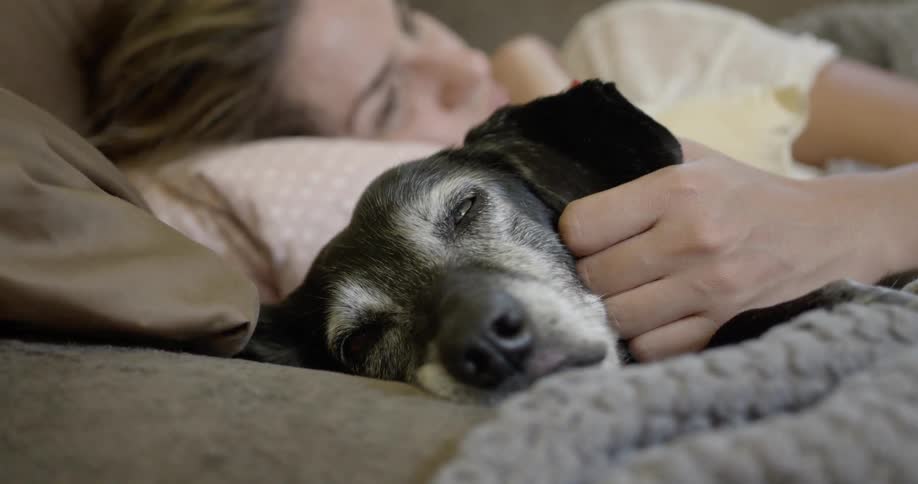 Woman cuddles with dog under blanket